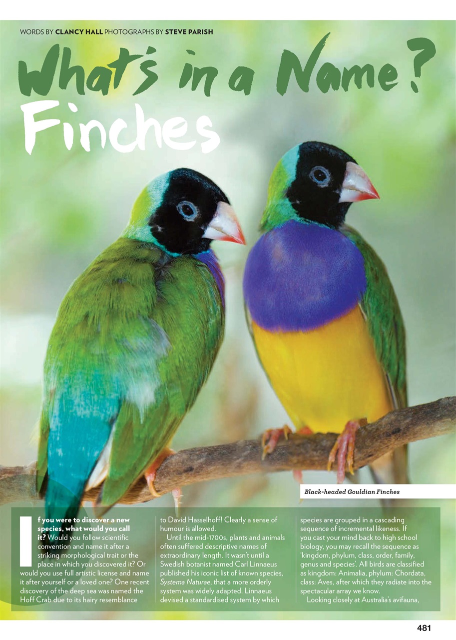 Australian Birdkeeper Magazine Preview Pages