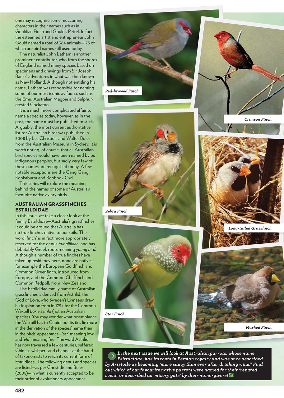 Australian Birdkeeper Magazine Preview Pages