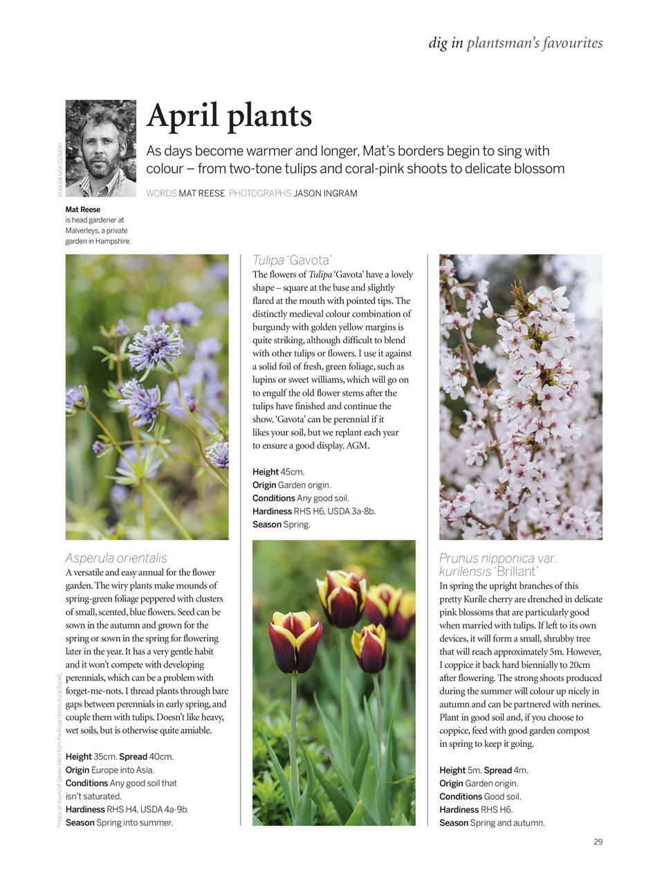 Gardens Illustrated Preview Pages