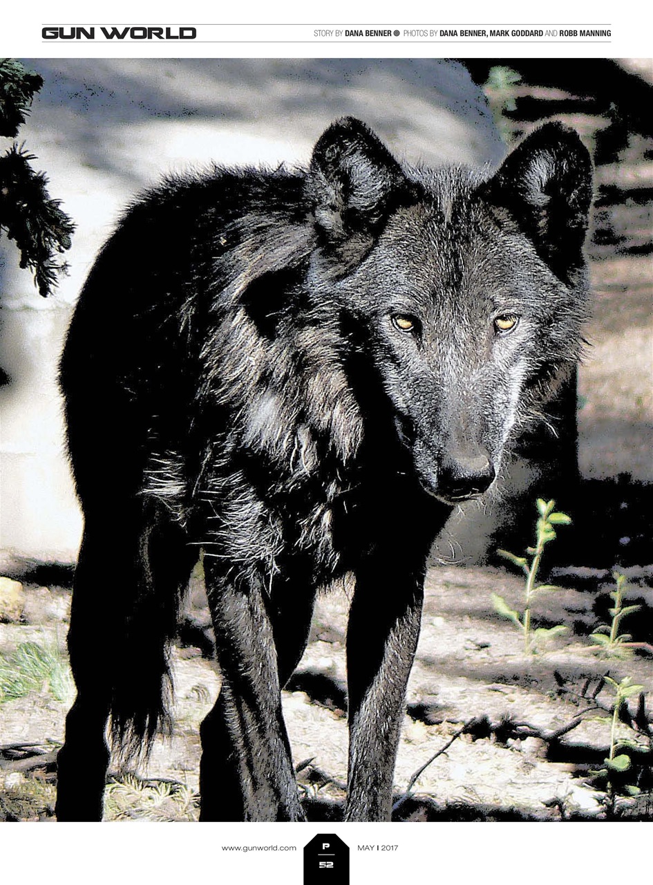 Gun World Preview Pages