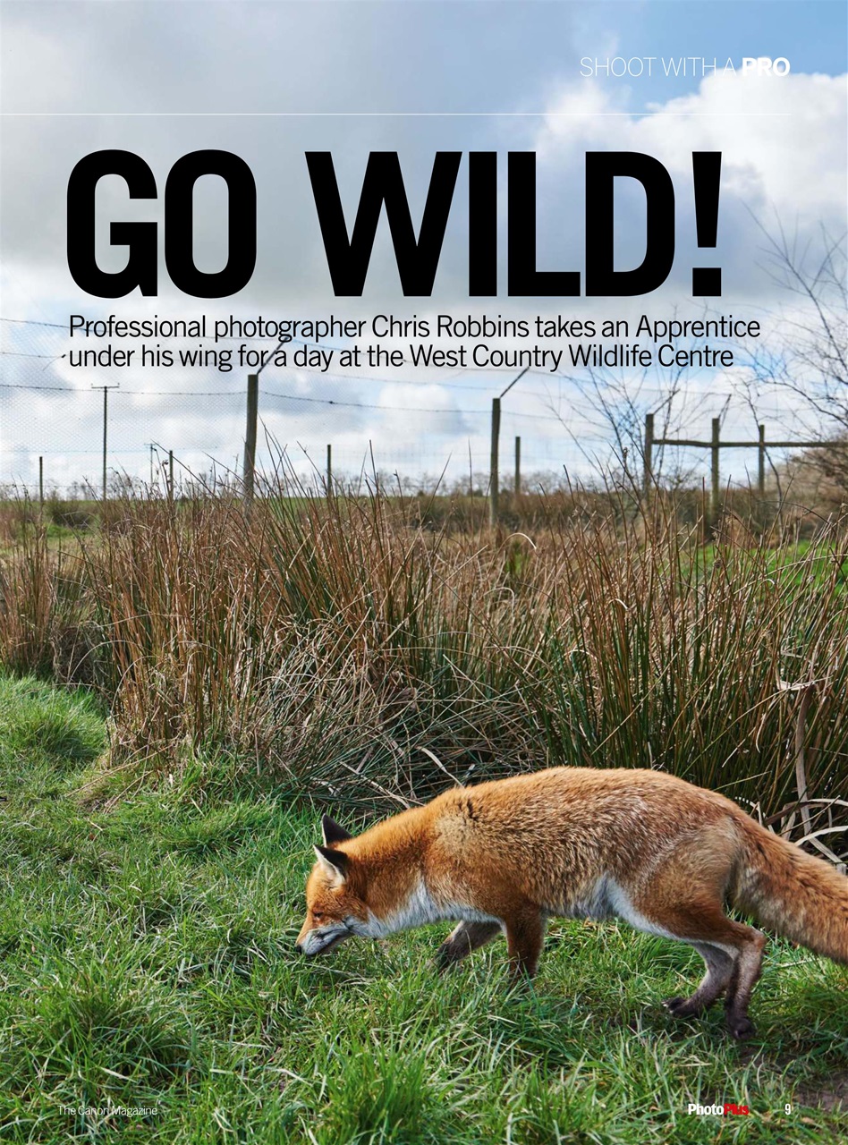 PhotoPlus Preview Pages