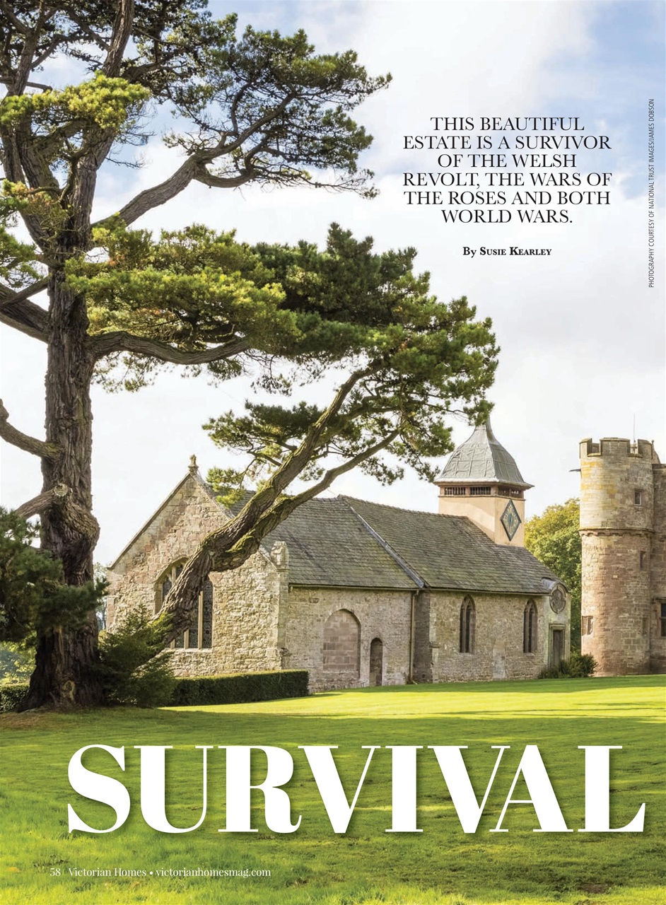 Victorian Homes Preview Pages