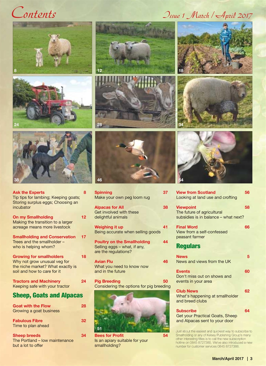 The Smallholder Preview Pages