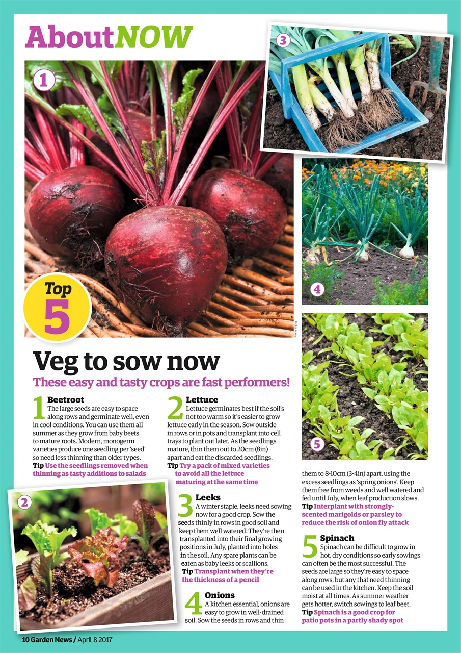 Garden News Preview Pages