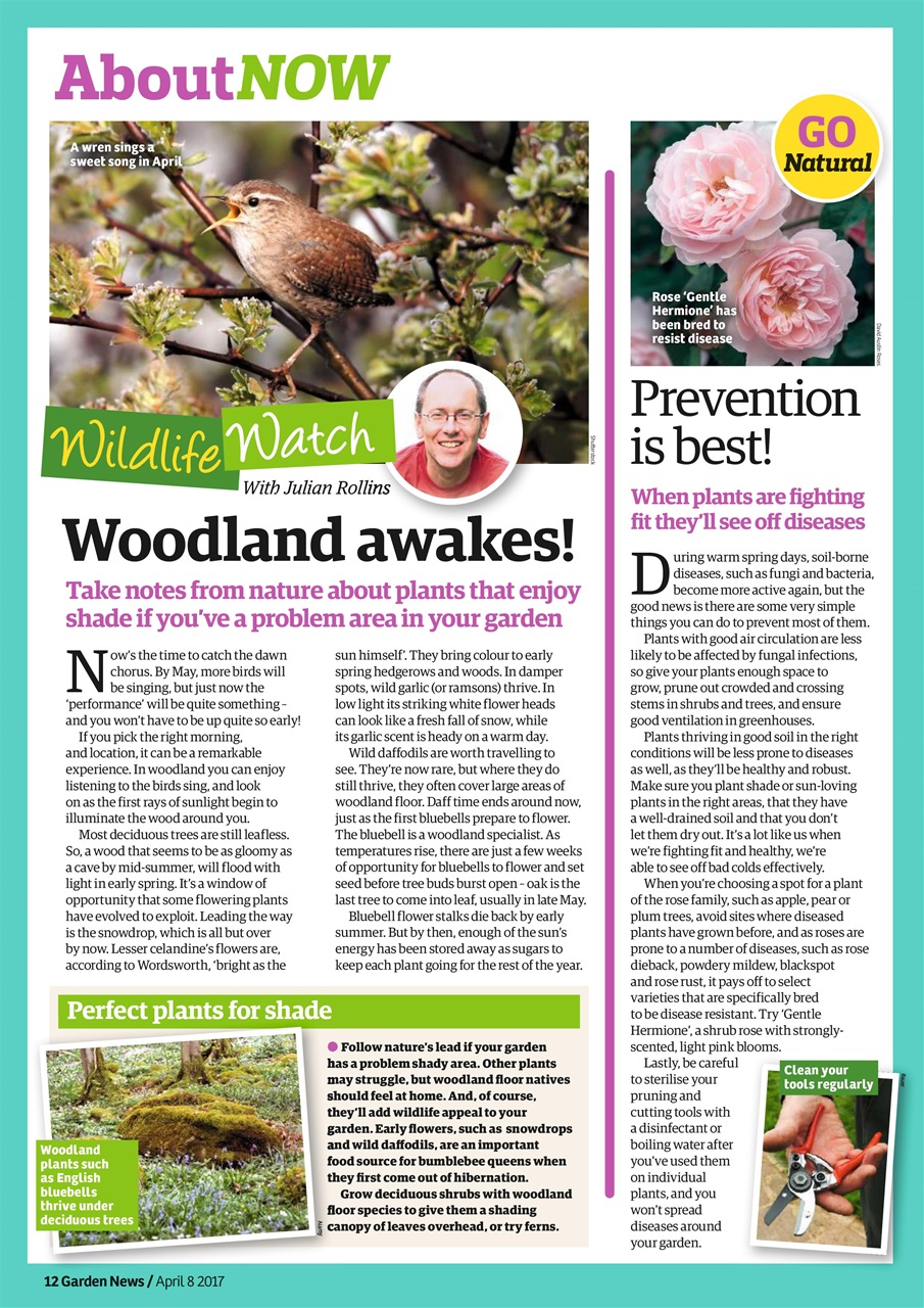 Garden News Preview Pages