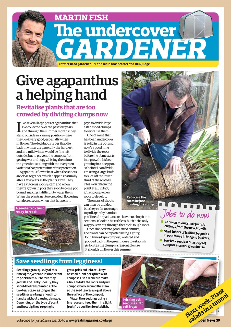Garden News Preview Pages