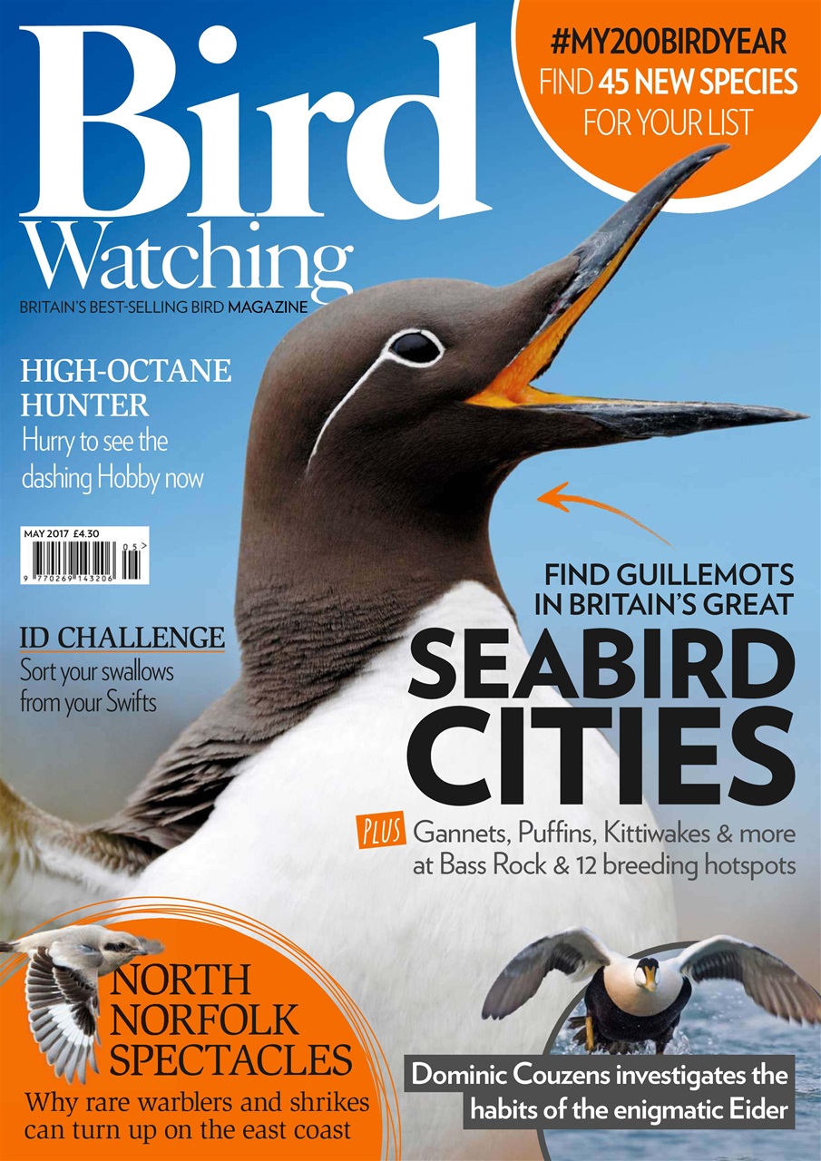 Bird Watching Preview Pages