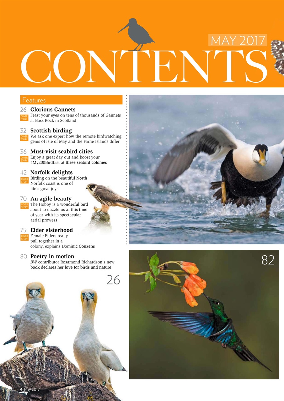 Bird Watching Preview Pages