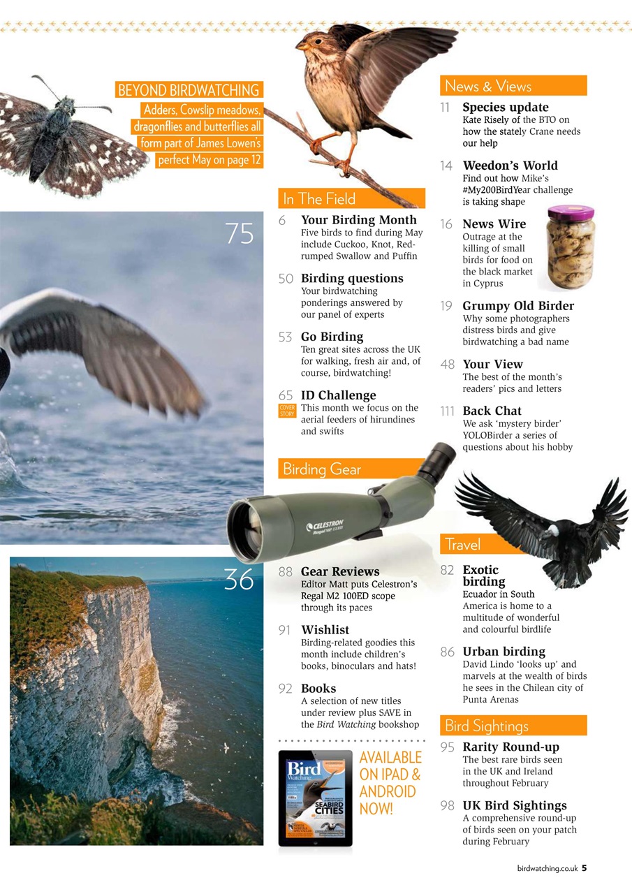 Bird Watching Preview Pages