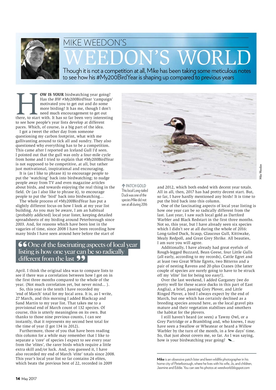 Bird Watching Preview Pages