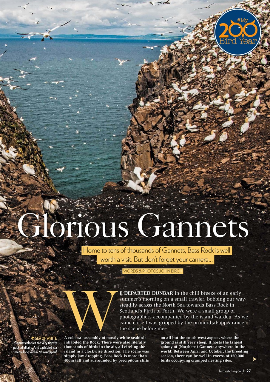 Bird Watching Preview Pages