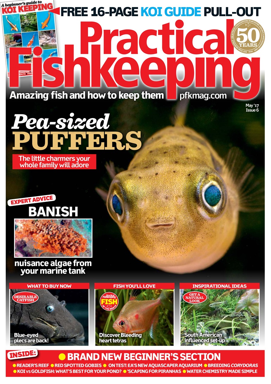 Practical Fishkeeping Preview Pages