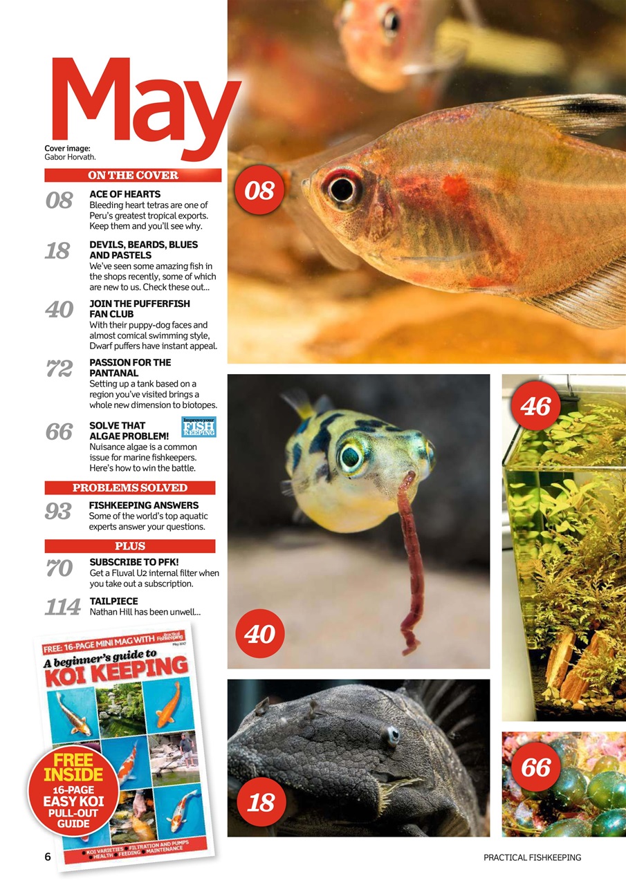 Practical Fishkeeping Preview Pages