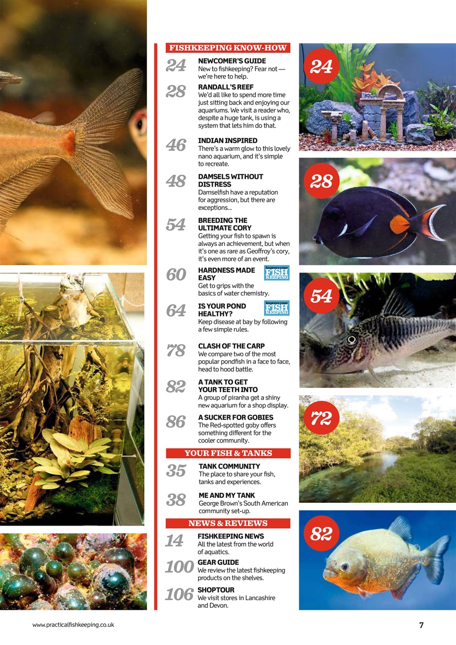 Practical Fishkeeping Preview Pages