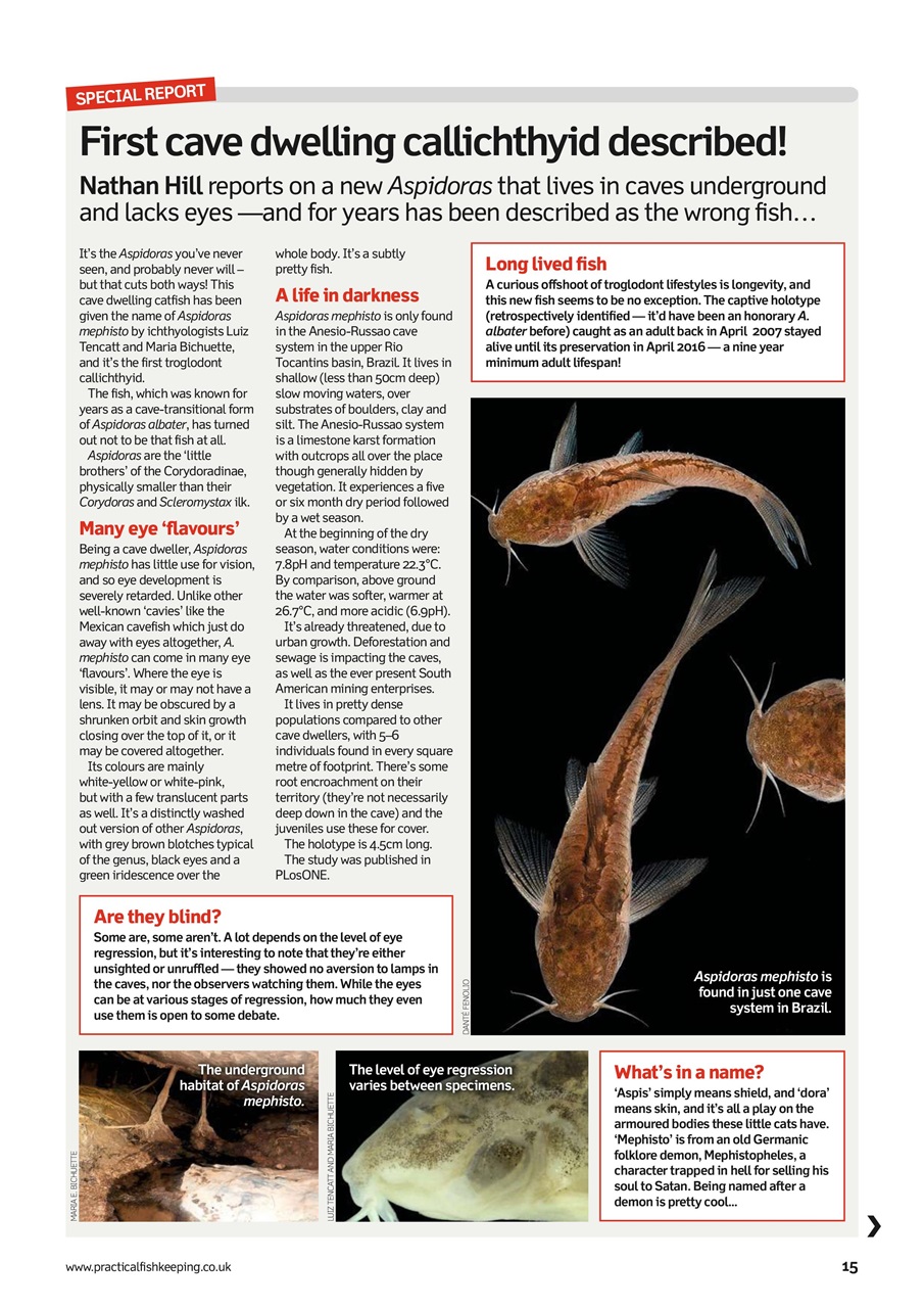 Practical Fishkeeping Preview Pages