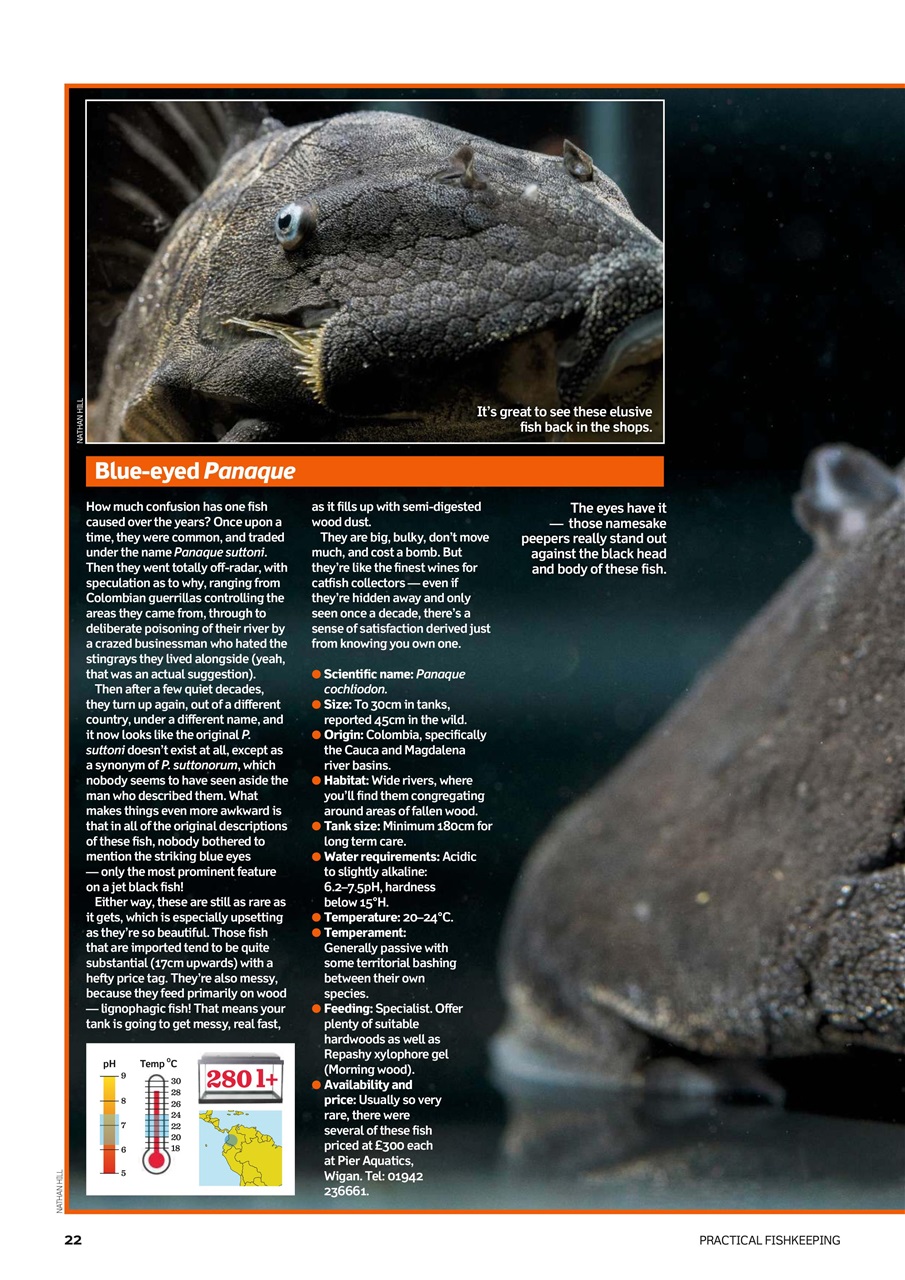 Practical Fishkeeping Preview Pages