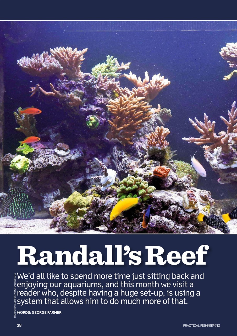 Practical Fishkeeping Preview Pages