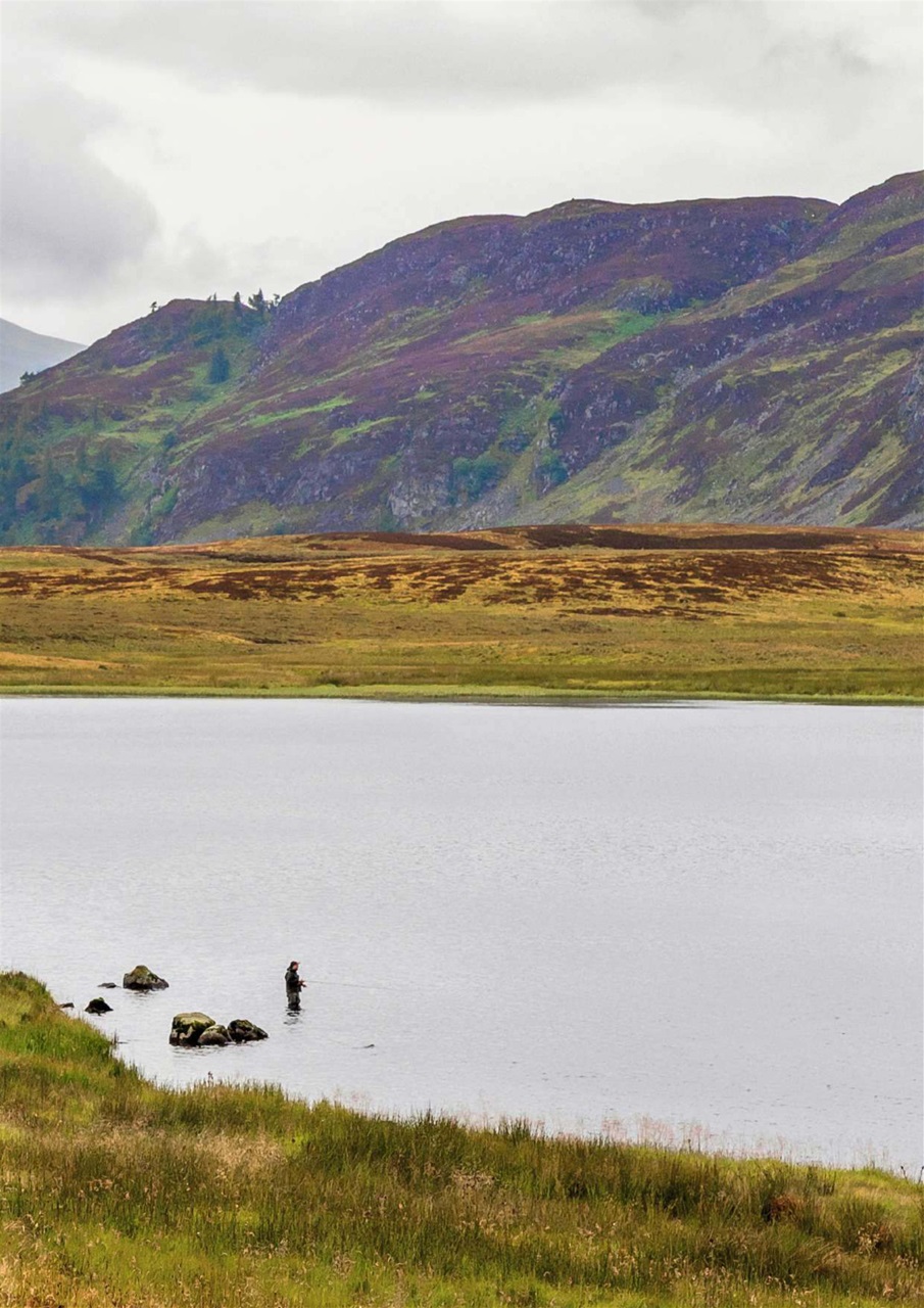 Trout & Salmon Preview Pages