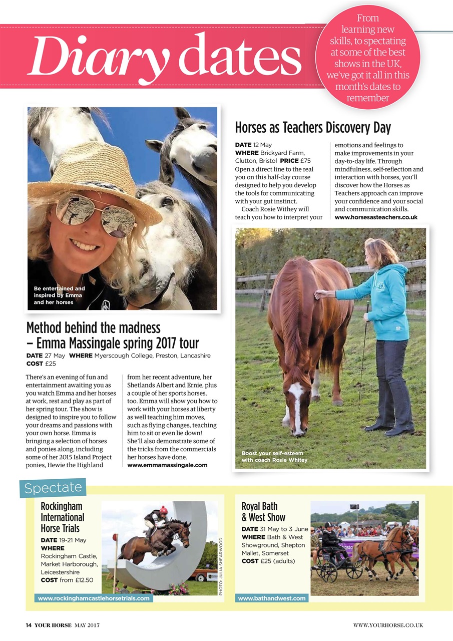 Your Horse Preview Pages