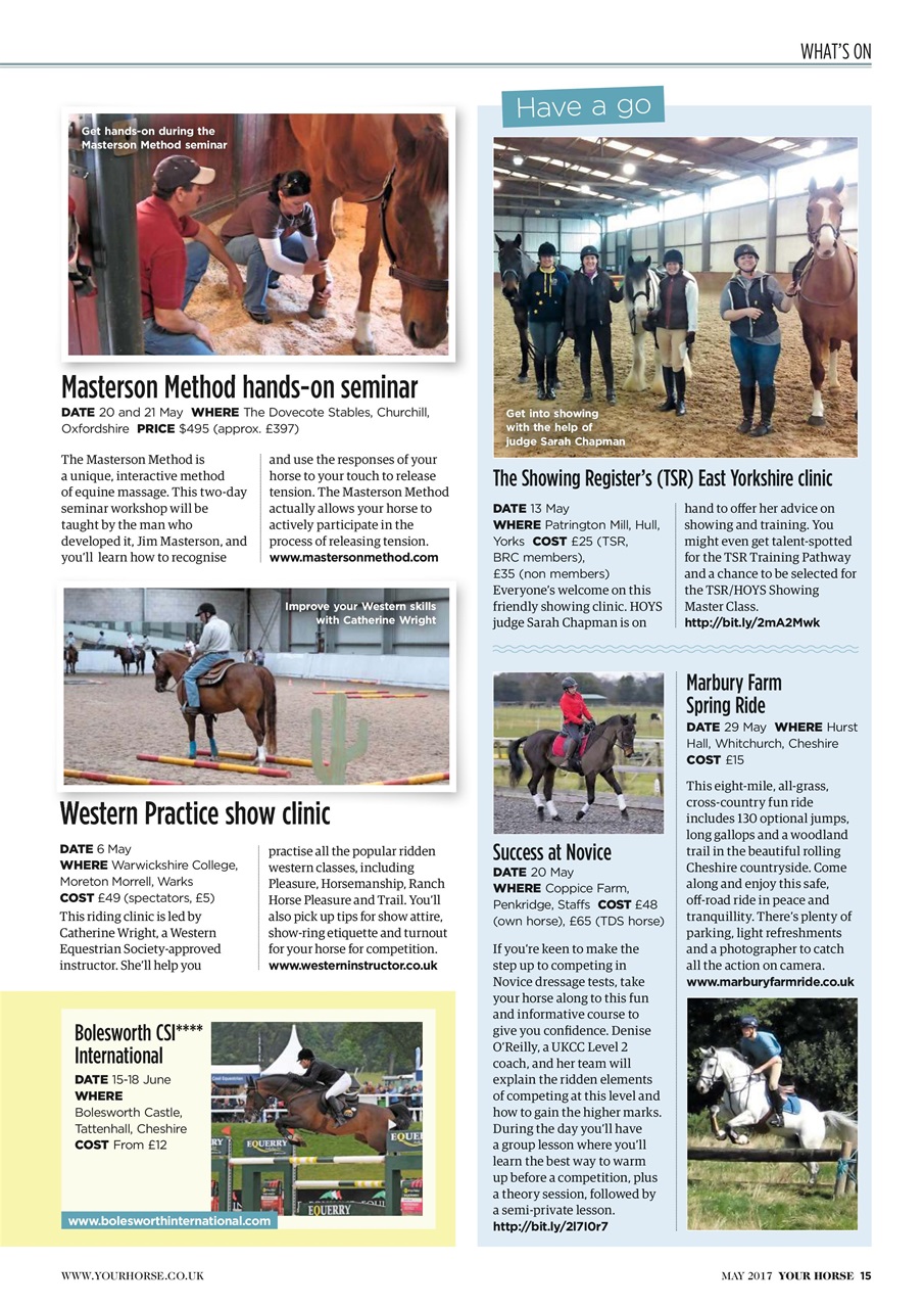 Your Horse Preview Pages