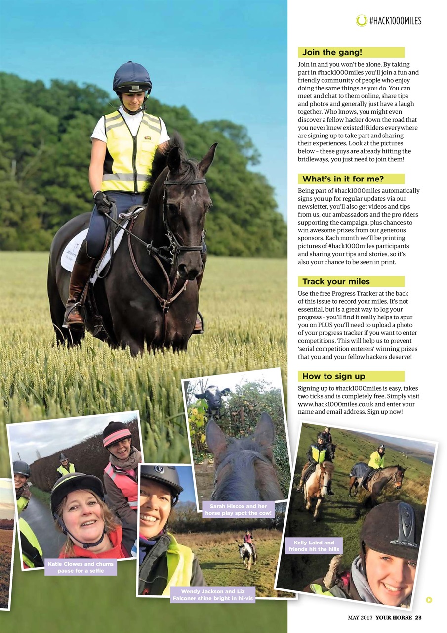 Your Horse Preview Pages