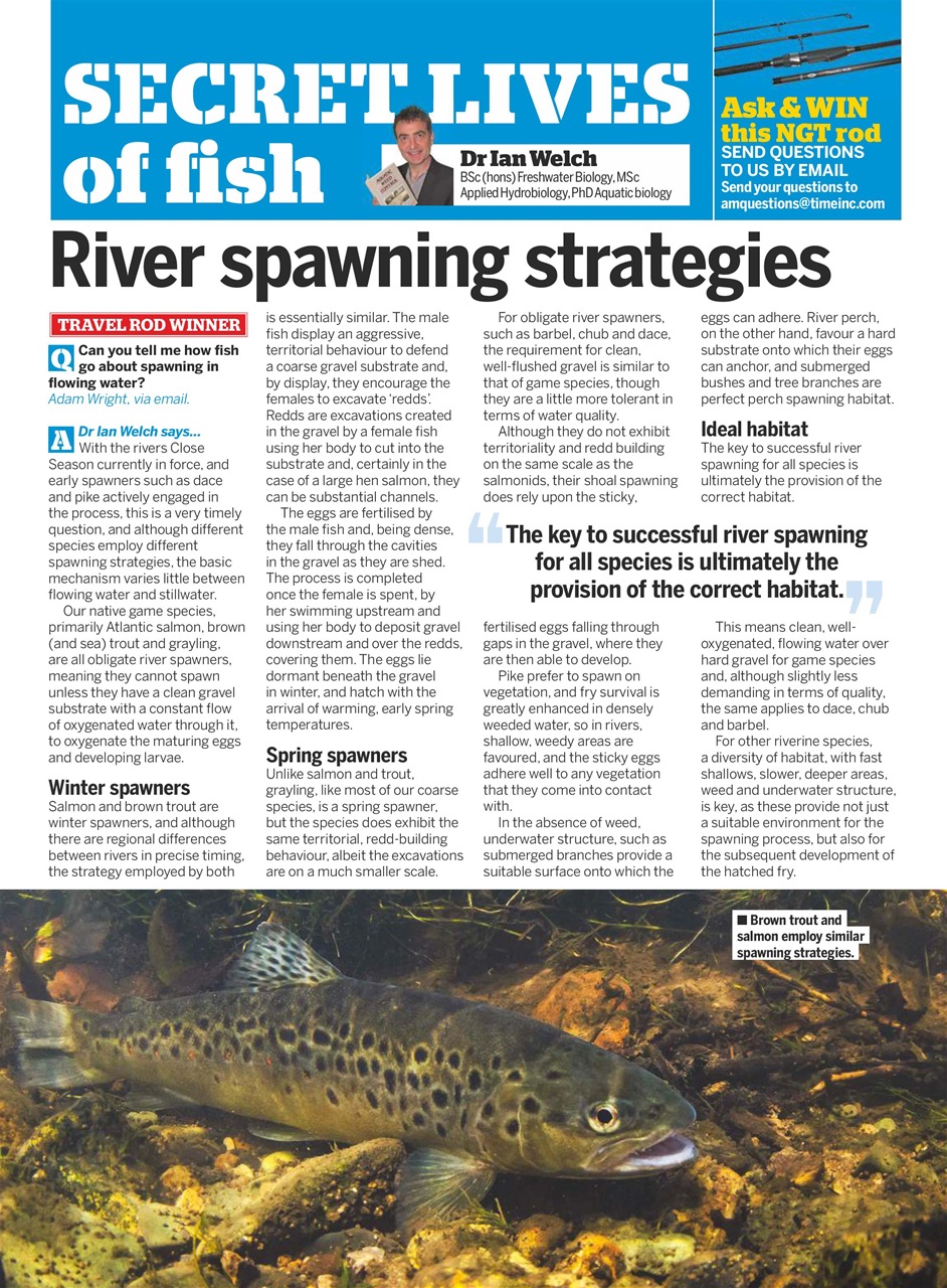 Anglers Mail Preview Pages