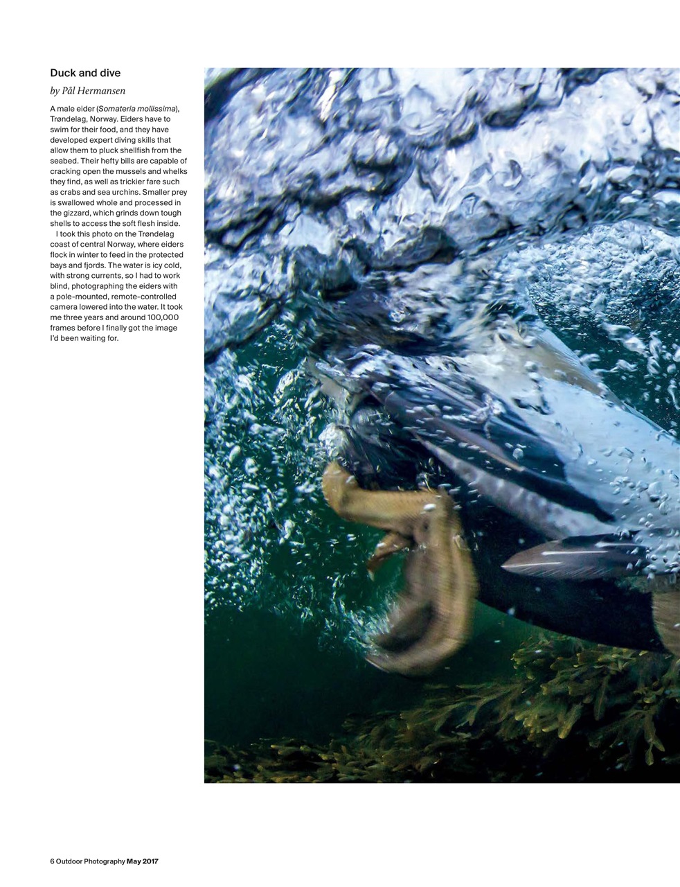 Outdoor Photography Preview Pages