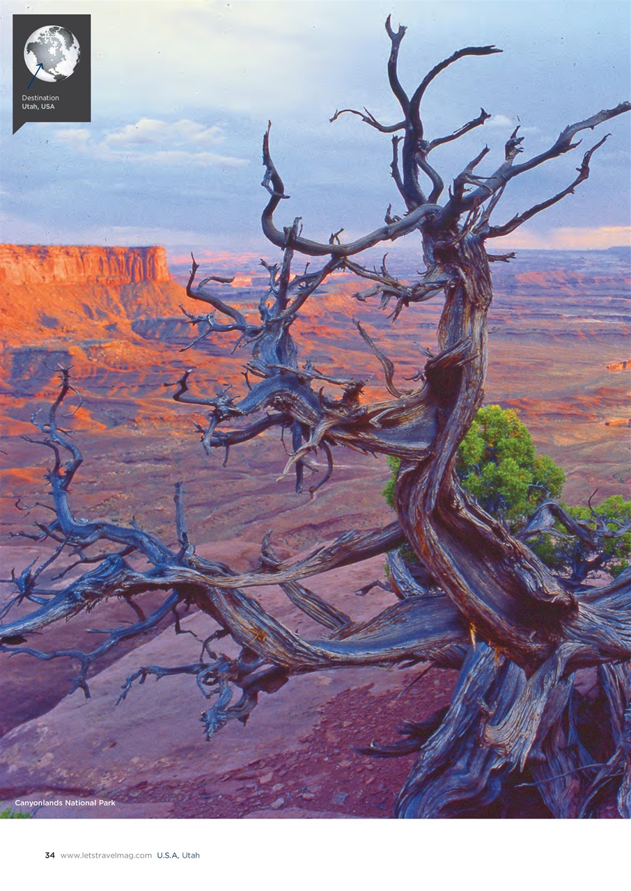 Let’s Travel Preview Pages