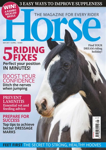 Horse issue 