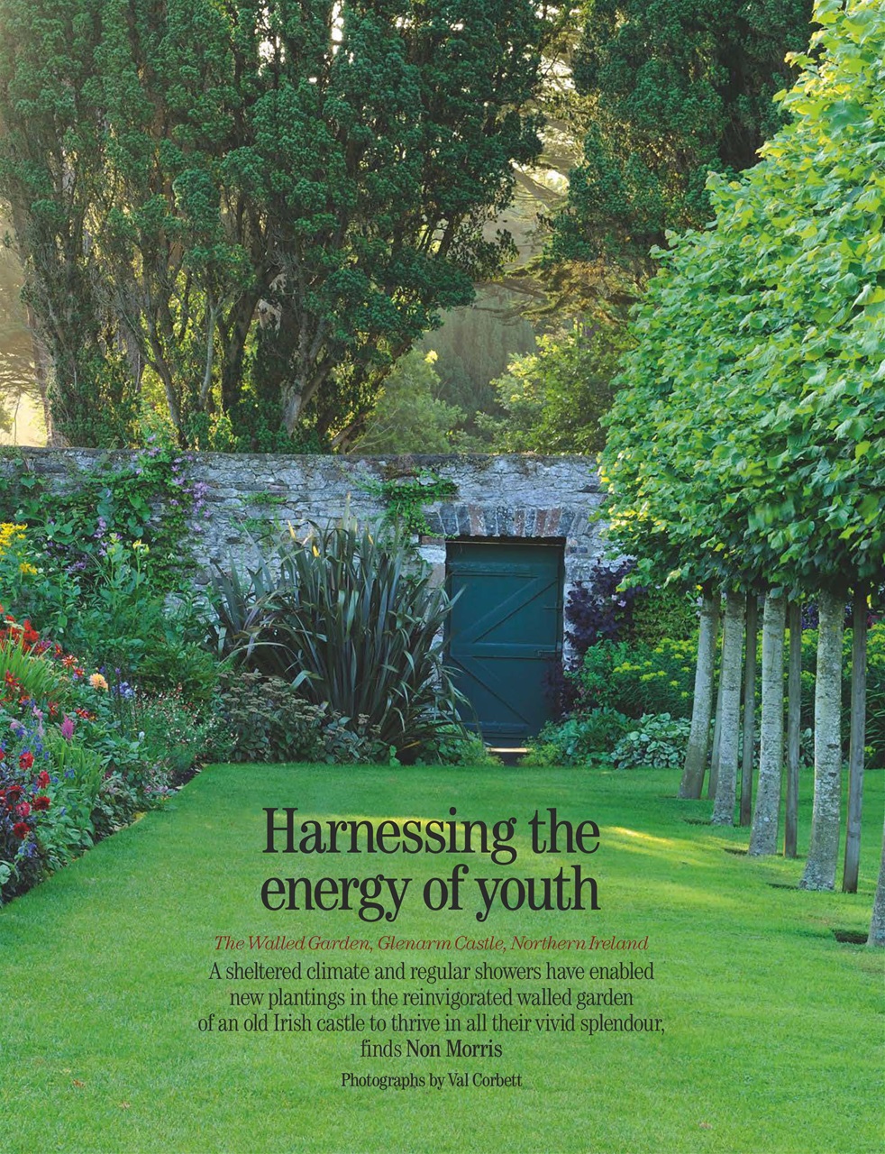 Country Life Preview Pages