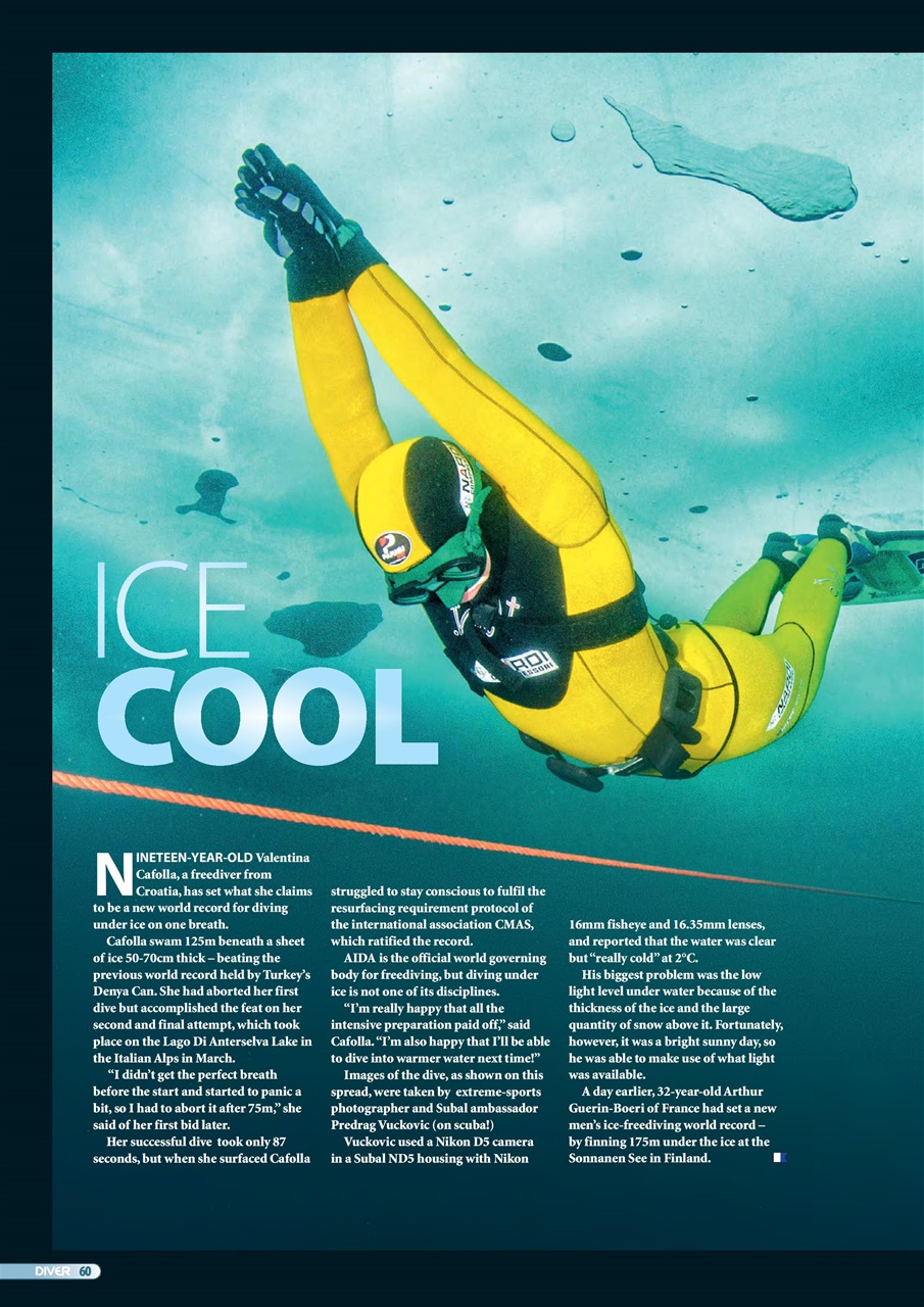 DIVER Preview Pages