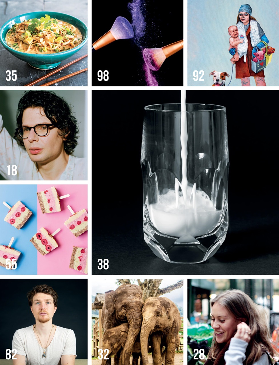 Vegan Life Preview Pages