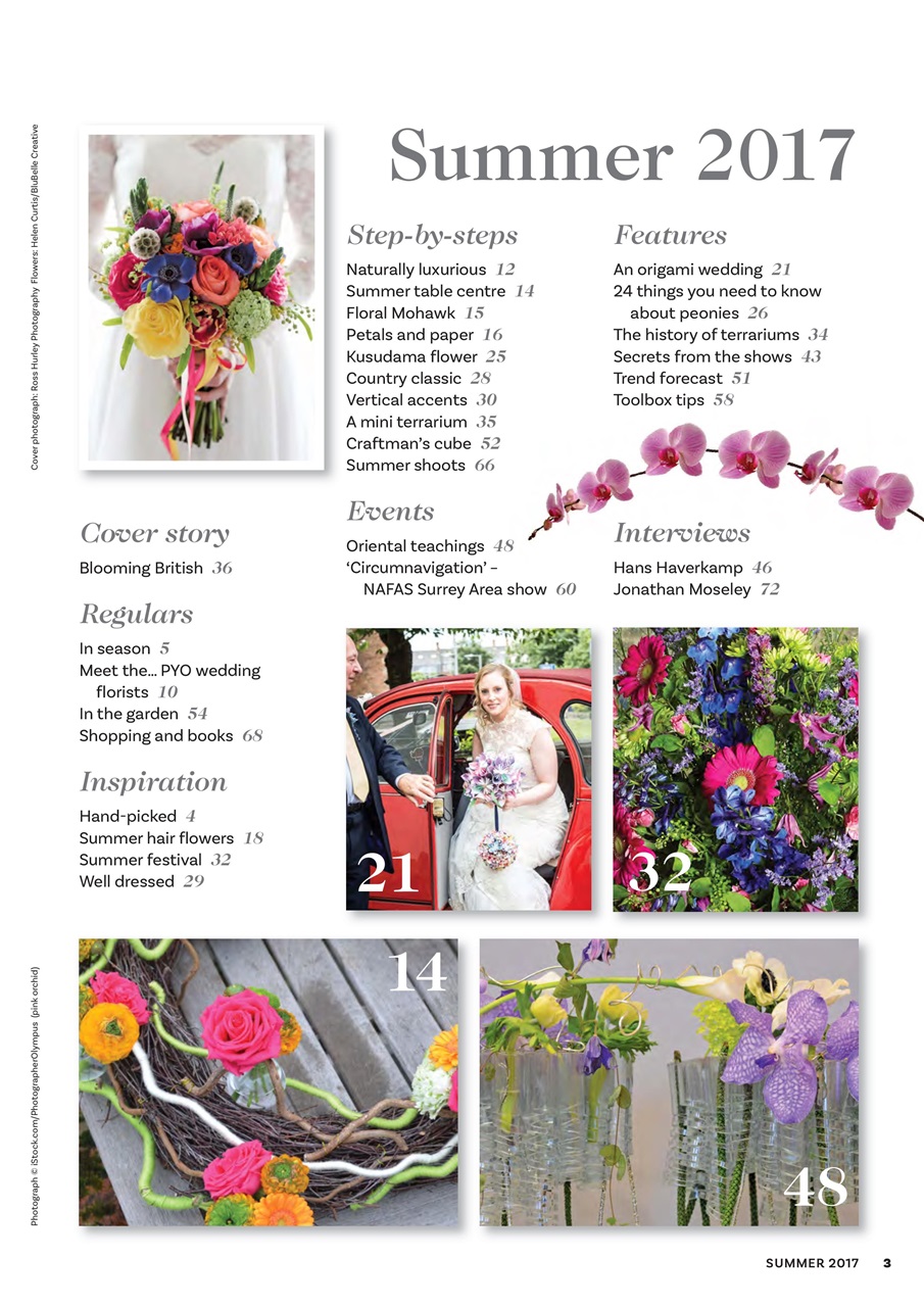 The Flower Arranger Preview Pages