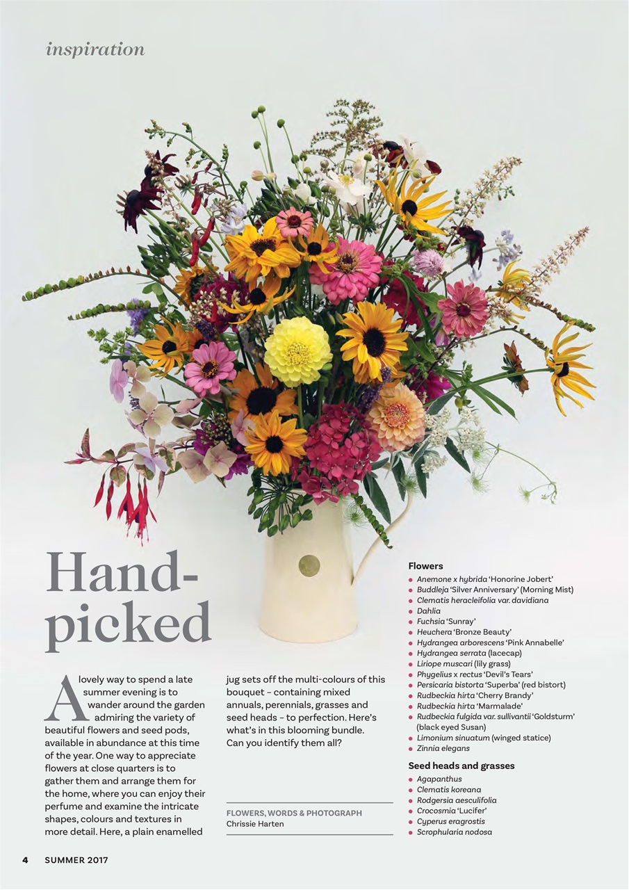 The Flower Arranger Preview Pages