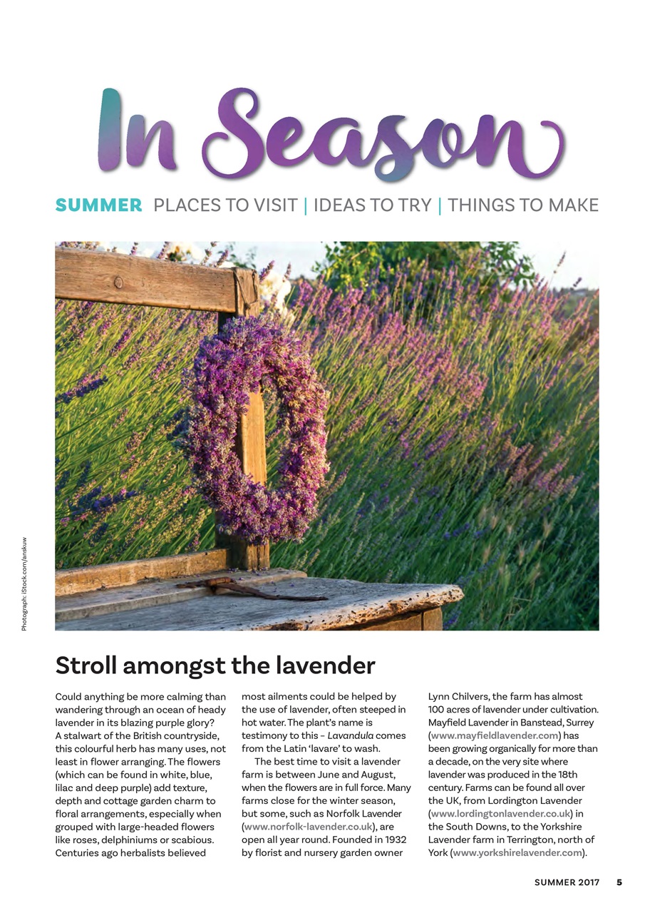 The Flower Arranger Preview Pages