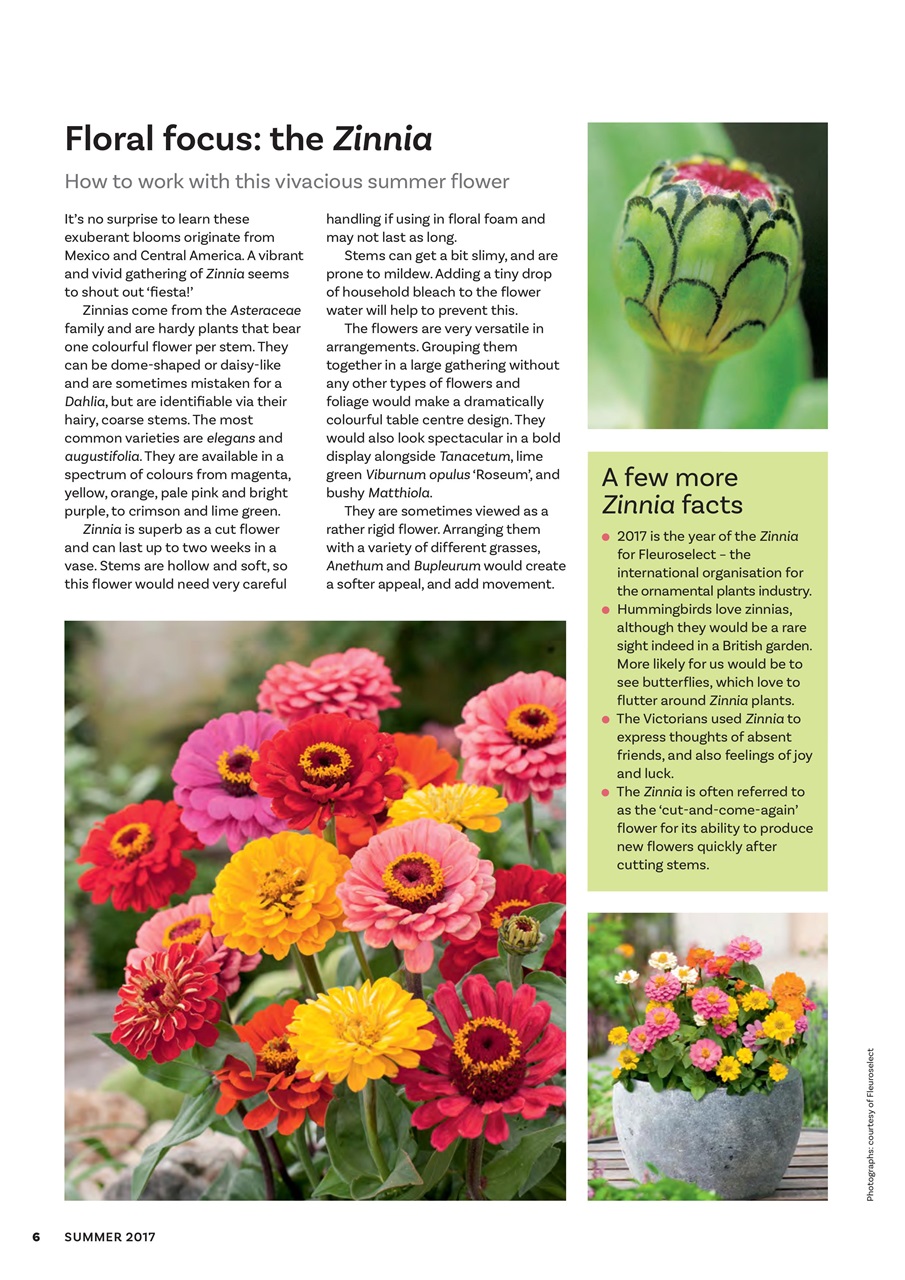 The Flower Arranger Preview Pages
