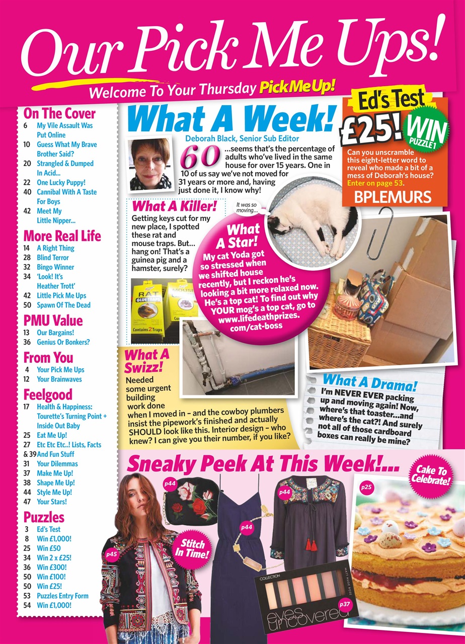 Pick Me Up Preview Pages