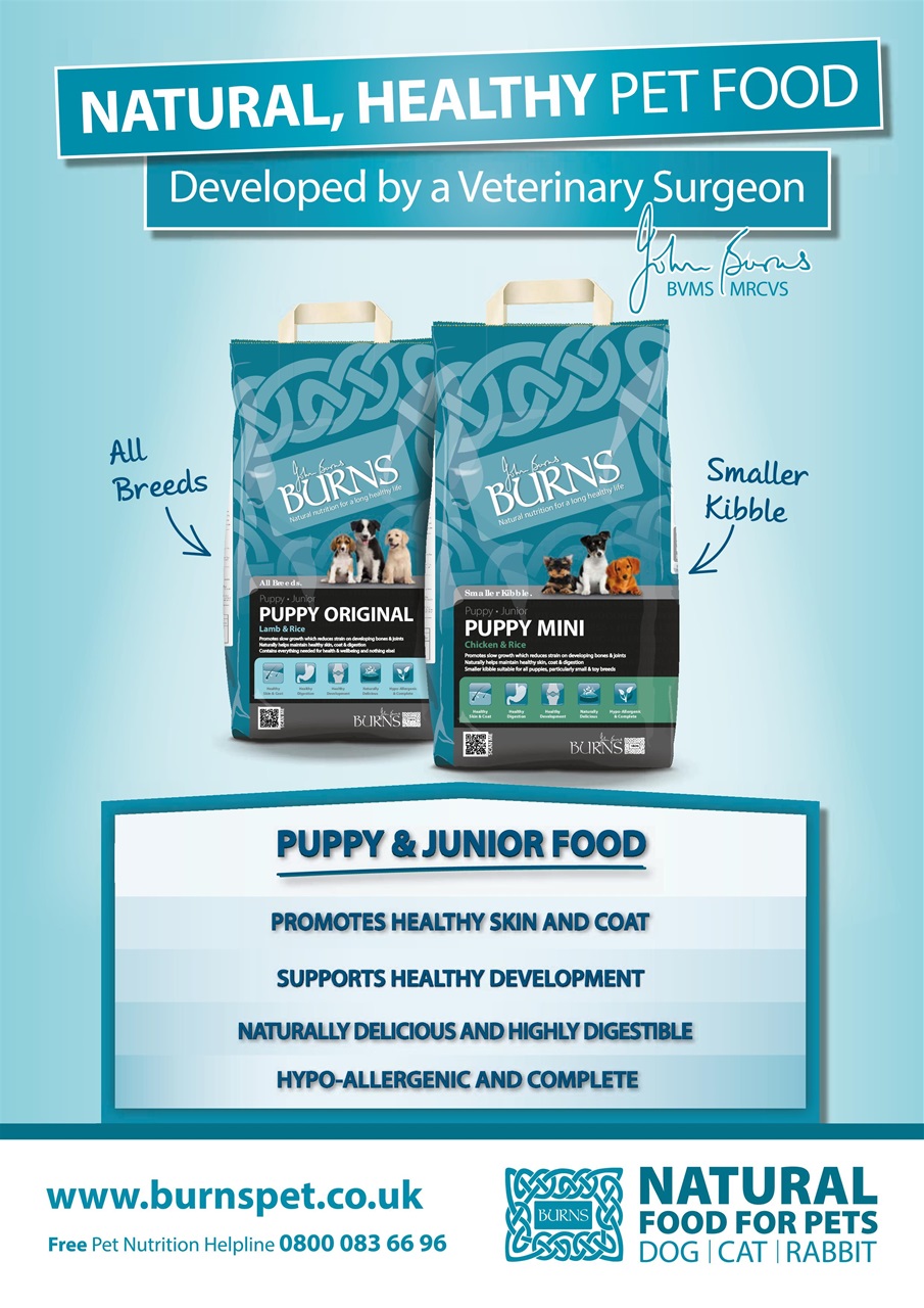 Dogs Monthly Preview Pages