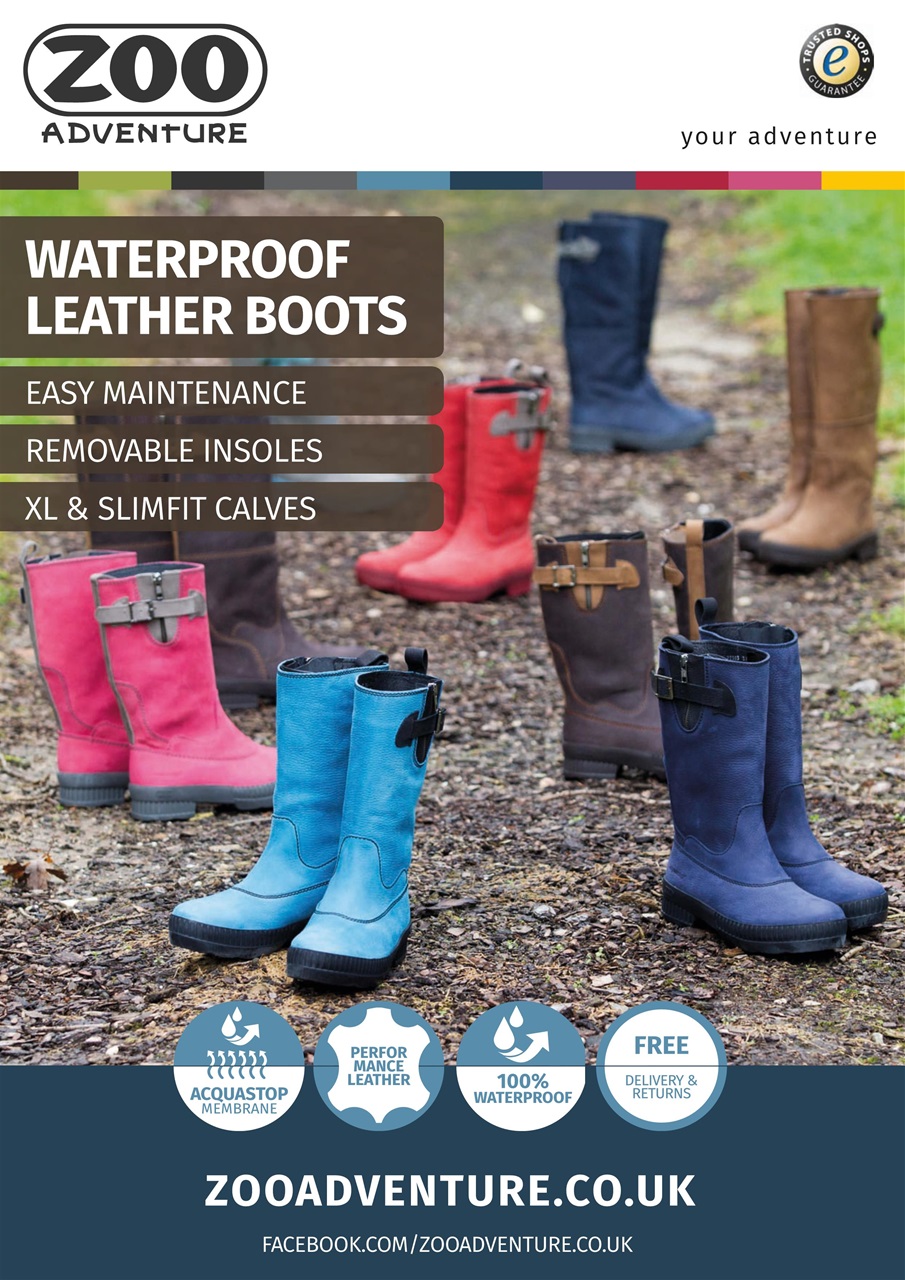 Dogs Monthly Preview Pages