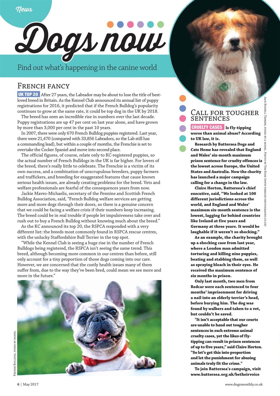 Dogs Monthly Preview Pages
