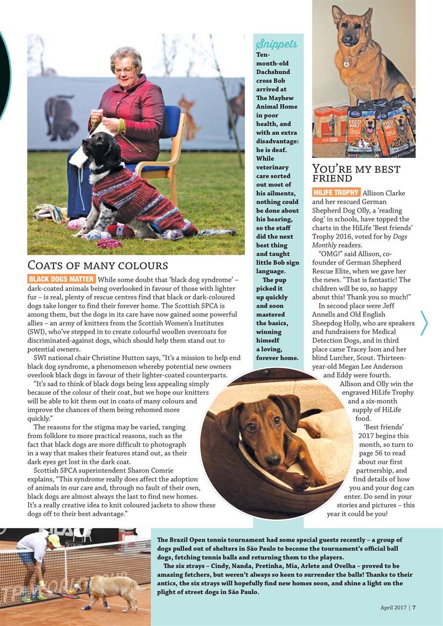 Dogs Monthly Preview Pages