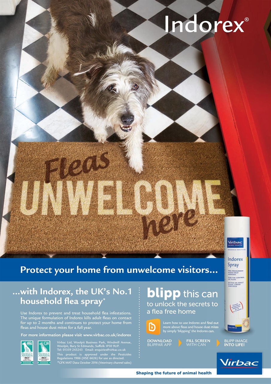 Your Dog Preview Pages