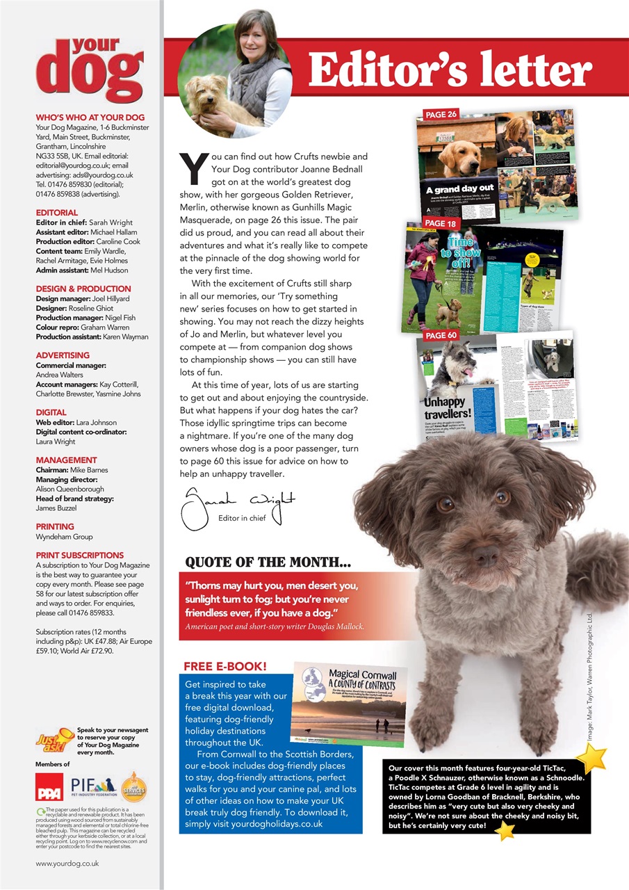 Your Dog Preview Pages