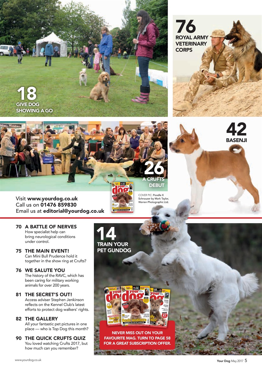 Your Dog Preview Pages