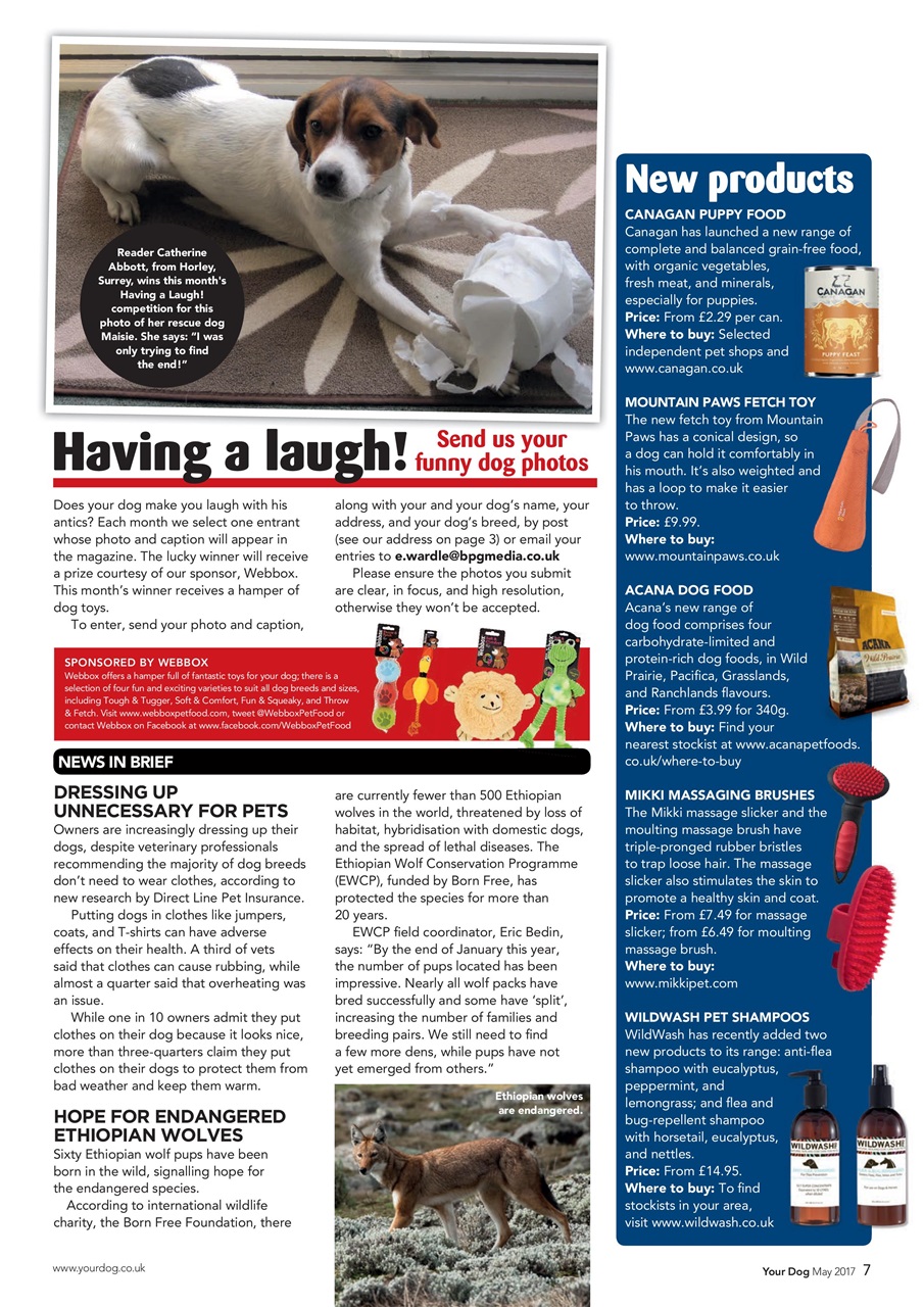 Your Dog Preview Pages