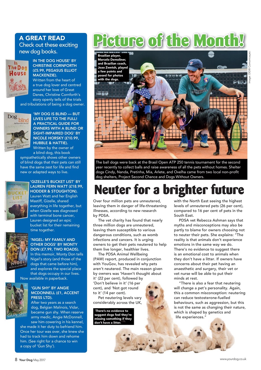 Your Dog Preview Pages