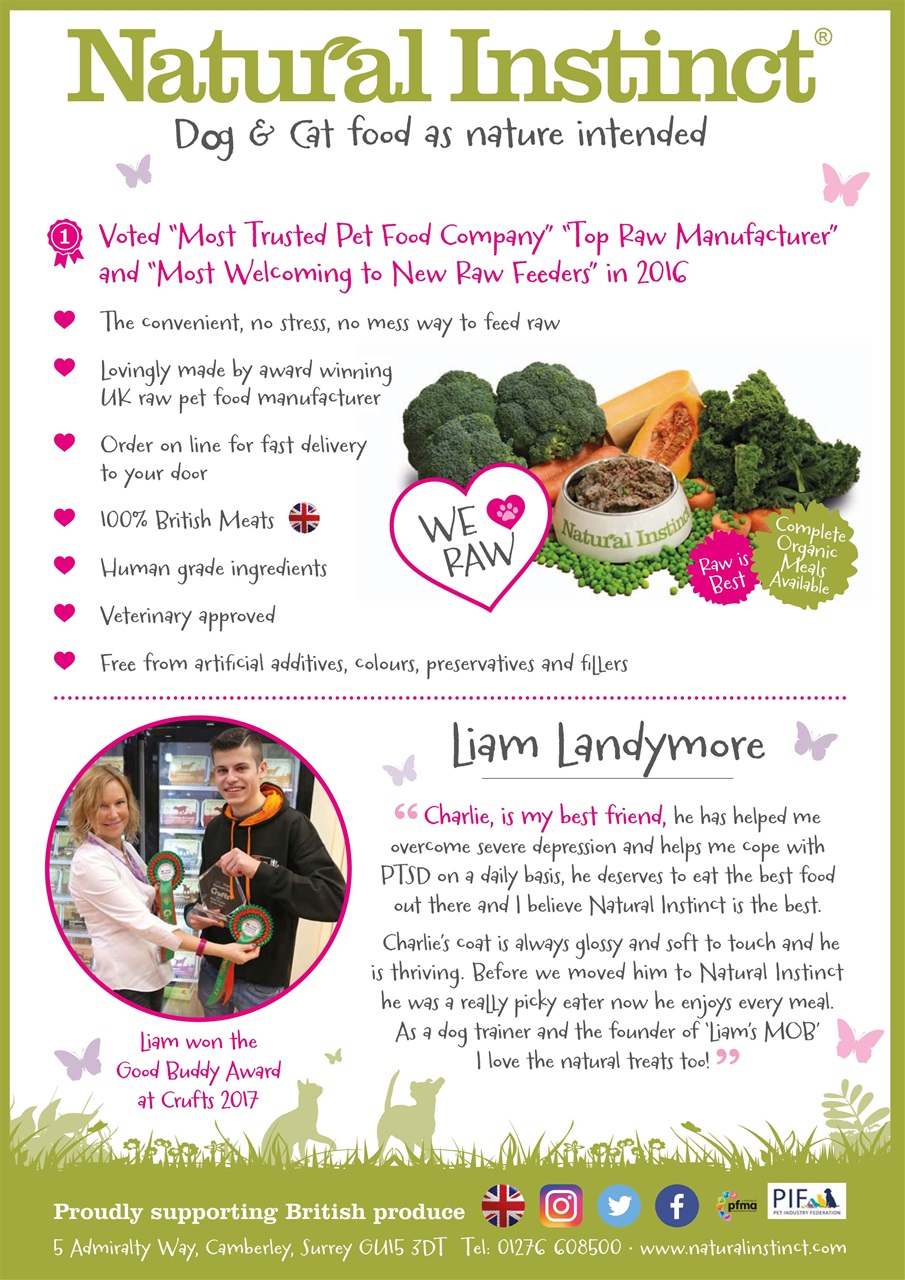 Dogs Today Magazine Preview Pages