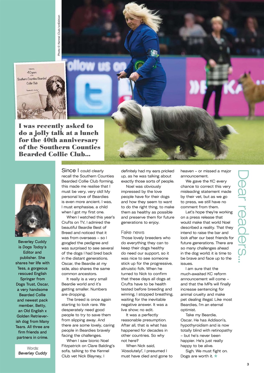 Dogs Today Magazine Preview Pages