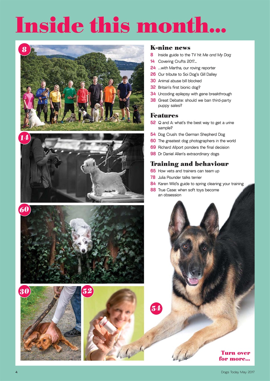 Dogs Today Magazine Preview Pages