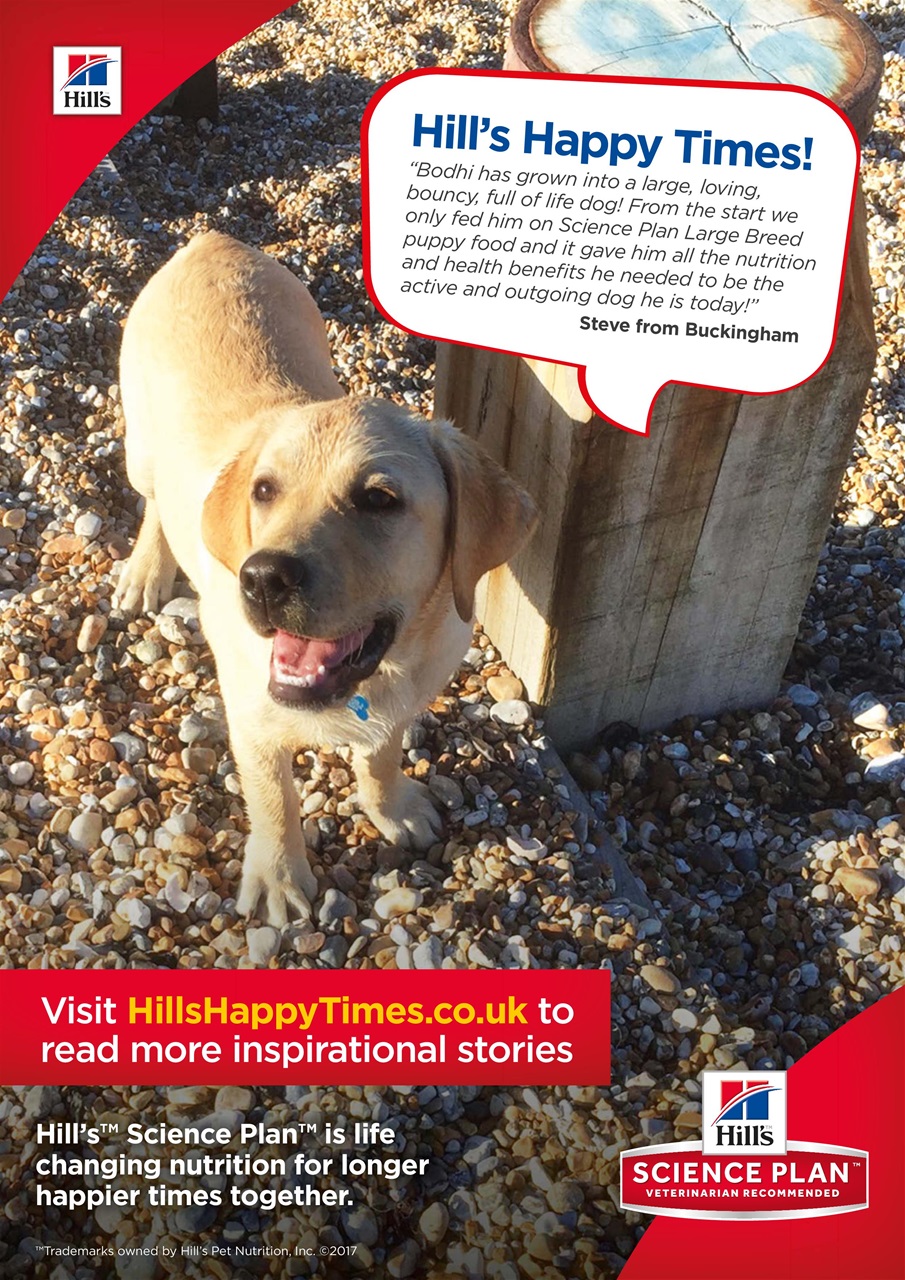 Dogs Today Magazine Preview Pages